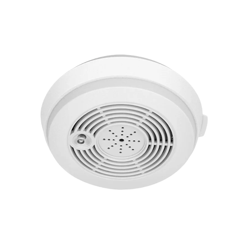 HD Smoke Detector Nanny Camera